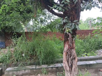 Image of 333 Sq.ft Residential Plot / Land for sale in Sector 63 A, Noida for Rs. 88000000