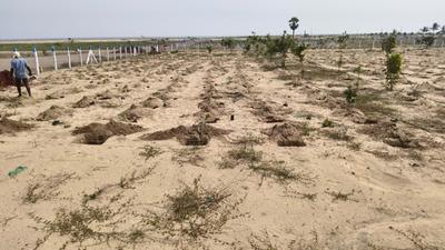 Image of 23000 Sq.ft 9 BHK Farm House for sale in Manju Blue Spot 3 0, Mahabalipuram, Chennai for Rs. 30000000