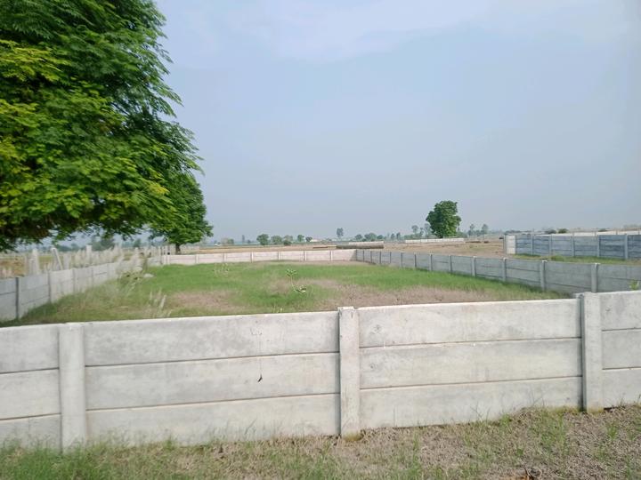 BDL GROUP ROYAL CITY Main Image 1