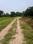 Natures Paradise Internal Roads 1