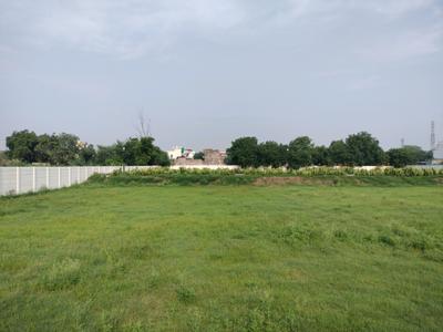 New Stone Coral Park Plot View 2
