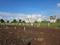 Wagholi Plot View 2