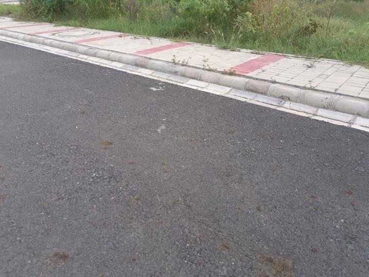 Betterchoice Vanya City Main Image 1