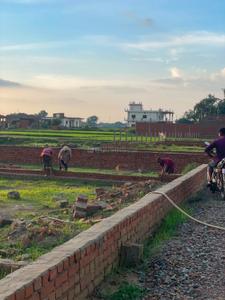 Basani Plot View 2
