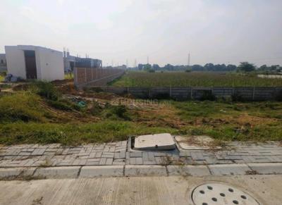 Residential Plot