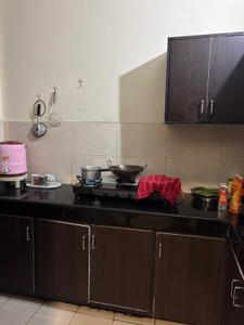 Kitchen Image of 750 Sq.ft 1 RK Apartment / Flat for rent in Sector 63 Mohali for Rs. 10500