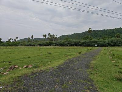 Residential Plot