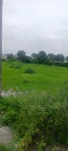 Image of 2900 Sq.ft Residential Plot / Land for sale in Rapadia Village, Bhopal for Rs. 10150000