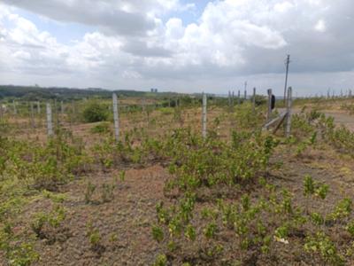 Image of 1200 Sq.ft Residential Plot / Land for sale in Lohegaon, Pune for Rs. 3619000