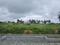 Koralur, Thirumalashettyhally Main Image 1