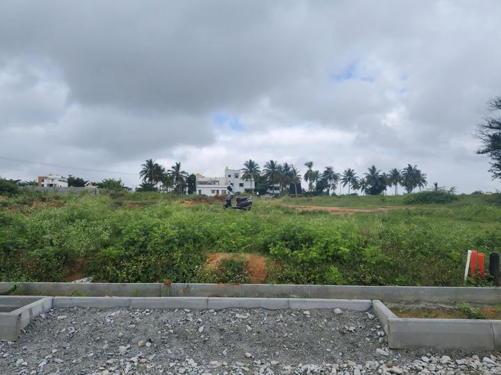 Koralur, Thirumalashettyhally Main Image 1