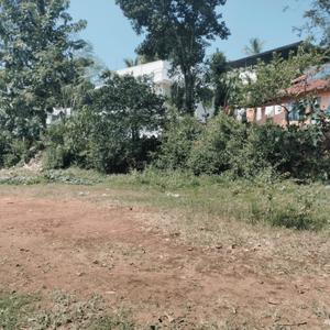 Image of 1214 Sq.ft Residential Plot / Land for sale in Koliyakode, Thiruvananthapuram for Rs. 7500000