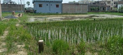 Residential Plot