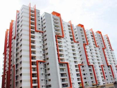 3 BHK Flat