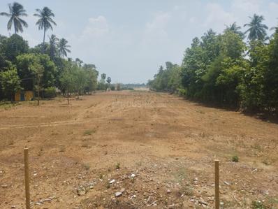Image of 10000 Sq.ft Residential Plot / Land for sale in Srirangam, Tiruchirappalli for Rs. 16000000