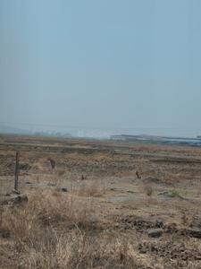 Image of 1089 Sq.ft Residential Plot / Land for sale in Uran, Navi Mumbai for Rs. 375600
