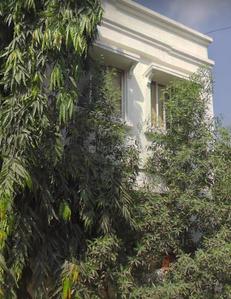 Image of 1800 Sq.ft 3 BHK Independent House for sale in Juhapura, Ahmedabad for Rs. 21000000