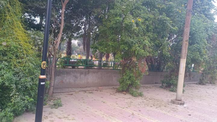Rwa sector 52 Main Image 1