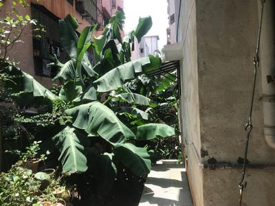 Image of 1430 Sq.ft 3 BHK Apartment / Flat for sale in Shubham Apartment, Vadgaon Budruk, Pune for Rs. 11500000