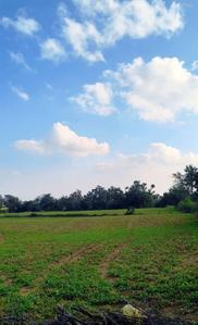 Shankarpally Plot View 2