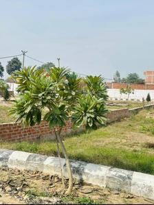 Image of 1000 Sq.ft Residential Plot / Land for sale in Banthra Sikander Pur, Lucknow for Rs. 1549990