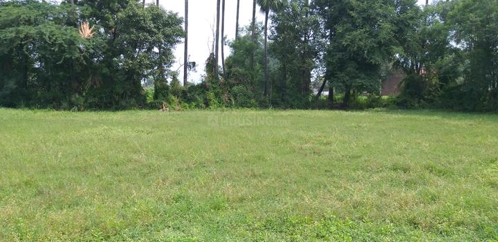 Ponnavaram Main Image 1