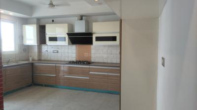 Kitchen Image of 3000 Sq.ft 4 BHK Builder Floor for rent in Sector 49 Gurgaon for Rs. 90000