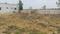 Veerapandi Plot View 2