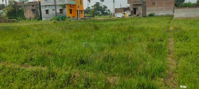 Mirjanhat Plot View 3