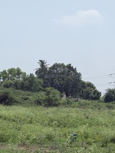 Image of 650 Sq.ft Residential Plot / Land for sale in Poondi, Chennai for Rs. 345000