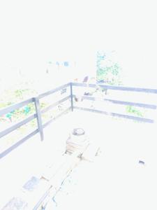 Image of 850 Sq.ft 2 BHK Apartment / Flat for rent in Raghuji Nagar, Nagpur for Rs. 13000