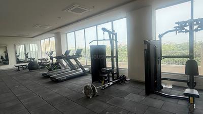 Gym Image of 1625 Sq.ft 3.5 BHK Apartment / Flat for sale in Trident Embassy Reso, Noida Extension Greater Noida for Rs. 16500000