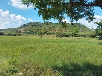 1 BHK Independent House