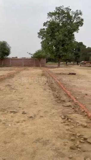 Pissaur Main Image 1