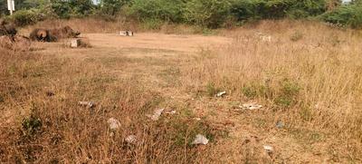 Sujatha Nagar Plot View 2