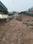 beharbari Main Image 1