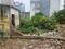 Rajni khand near st ann convent school Plot View 2