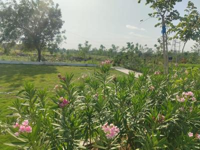 Image of 1100 Sq.ft Residential Plot / Land for sale in Godrej Forest Estate, Samruddhi Mahamarg, Nagpur for Rs. 5500000