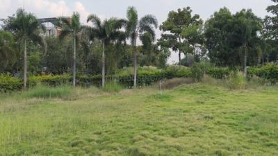 Image of 4293 Sq.ft Residential Plot / Land for sale in Kandukur, Hyderabad for Rs. 4769499