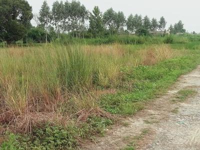 Image of 8370 Sq.ft Residential Plot / Land for sale in Prakash City, Kashipur for Rs. 3500000