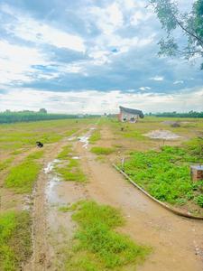 Image of 135 Sq.ft Residential Plot / Land for sale in Garden 28 Pataudi, Pataudi, Gurgaon for Rs. 13000000