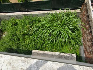 Balcony Image of 1000 Sq.ft 1 BHK Independent House for sale in Maneja Vadodara for Rs. 2500000