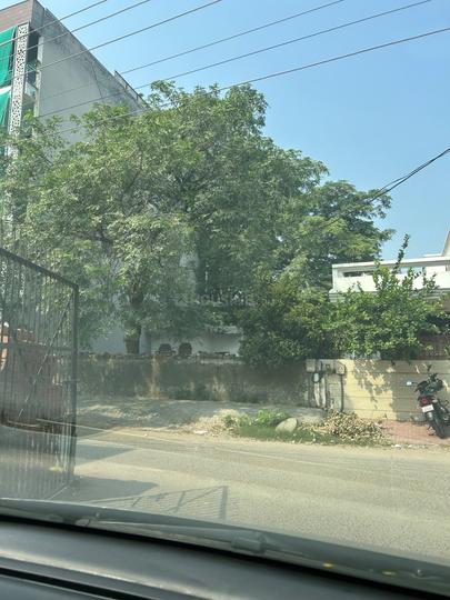 Era Green World Main Image 1