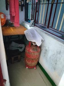 Balcony Image of 475 Sq.ft 1 BHK Apartment / Flat for rent in West Mambalam Chennai for Rs. 11000