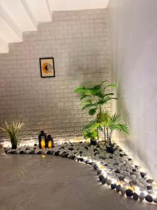 Image of 3500 Sq.ft 3 BHK Independent House for rent in Sahil Elite, Scheme No 140, Indore for Rs. 95000