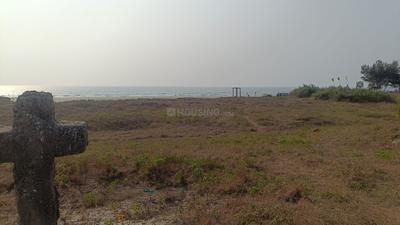 Image of 93108 Sq.ft 4 BHK Farm House for sale in Morjim, Goa for Rs. 1100000000