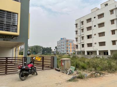 Action Area 2 Plot View 3