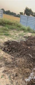 Shela Plot View 3