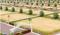 Aiims city Plot View 2