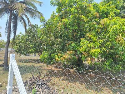 Image of 8505 Sq.ft Residential Plot / Land for sale in Melmaruvathur, Chennai for Rs. 2976750